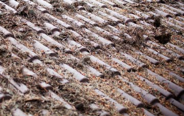 Shelfield Green roof cleaning companies